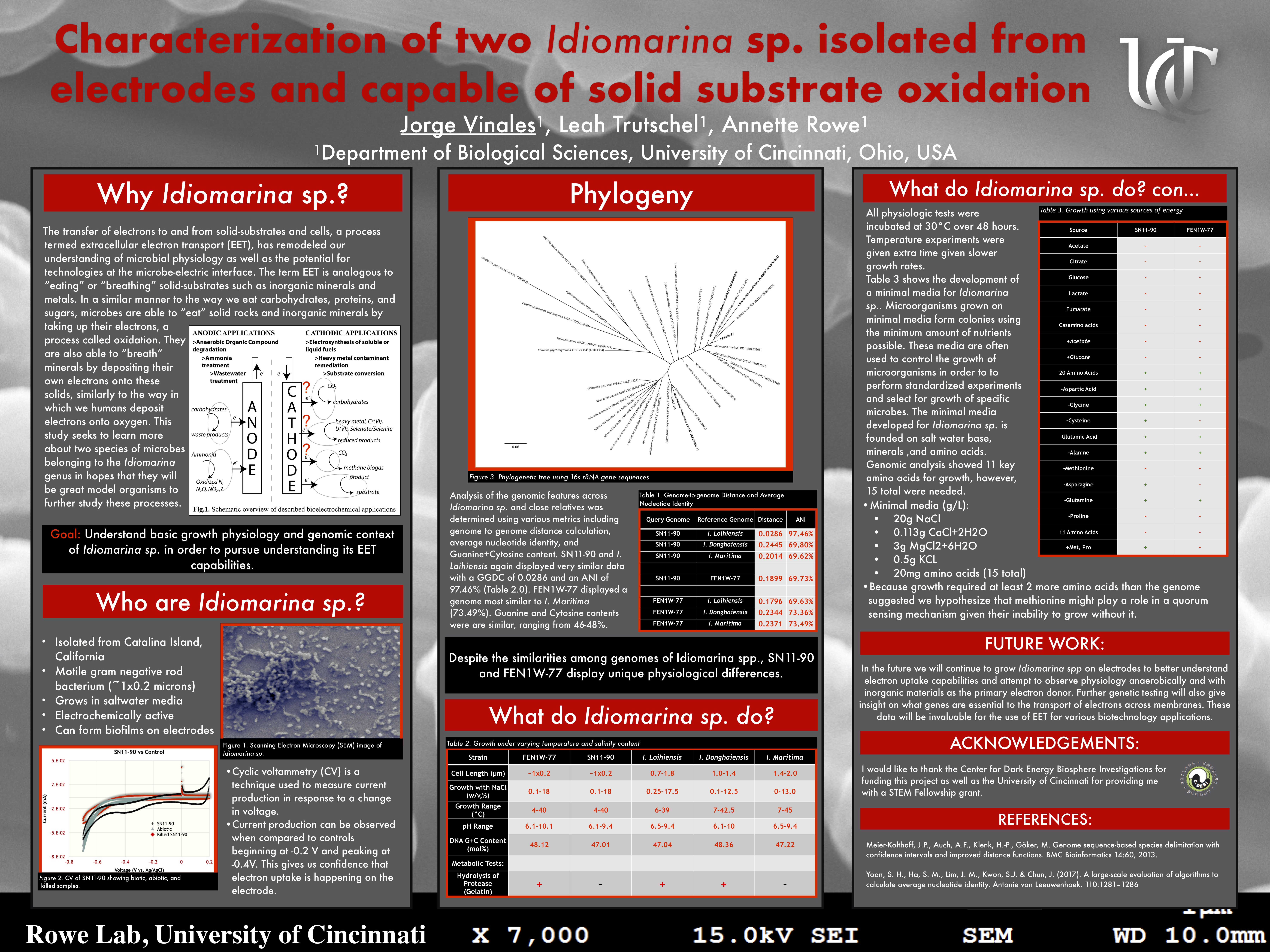 Characterization of two Idiomarina sp. isolated from cathodes and capable of solid substrate oxidation