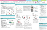 Poster of images, text, figures submitted by the student.