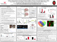 Poster of images, text, figures submitted by the student.