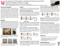 Poster of images, text, figures submitted by the student.