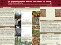Poster of images, text, figures submitted by the student.