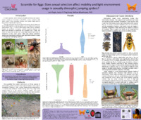 Poster of images, text, figures submitted by the student.