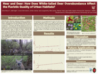Poster of images, text, figures submitted by the student.