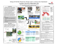 Poster of images, text, figures submitted by the student.