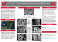 Poster of images, text, figures submitted by the student.
