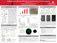 Poster of images, text, figures submitted by the student.