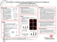 Poster of images, text, figures submitted by the student.